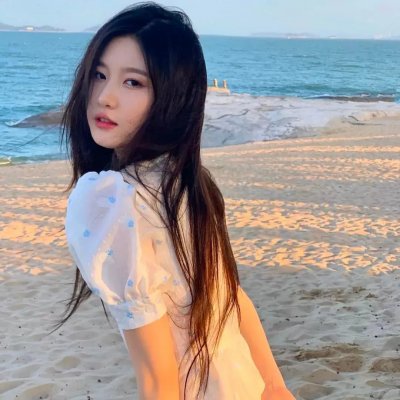 我的蠢老板